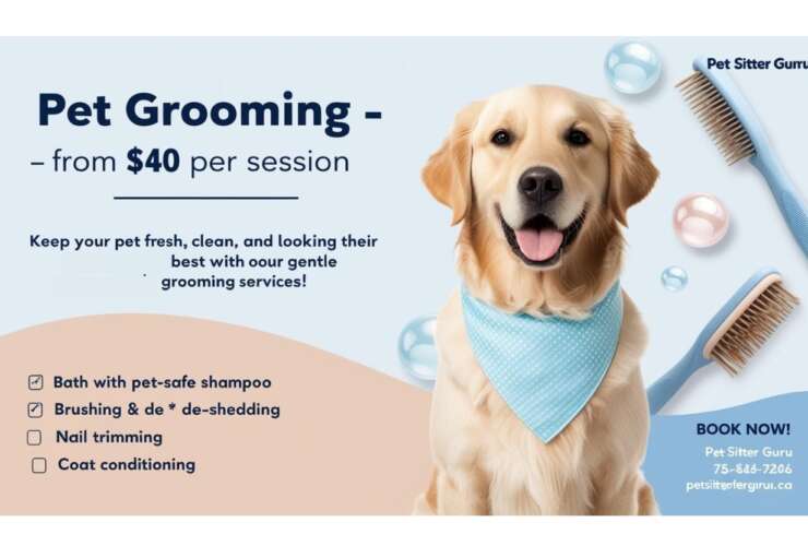 Pet Grooming